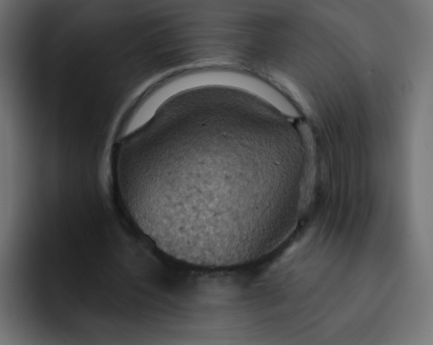 X0000092110532200710031232