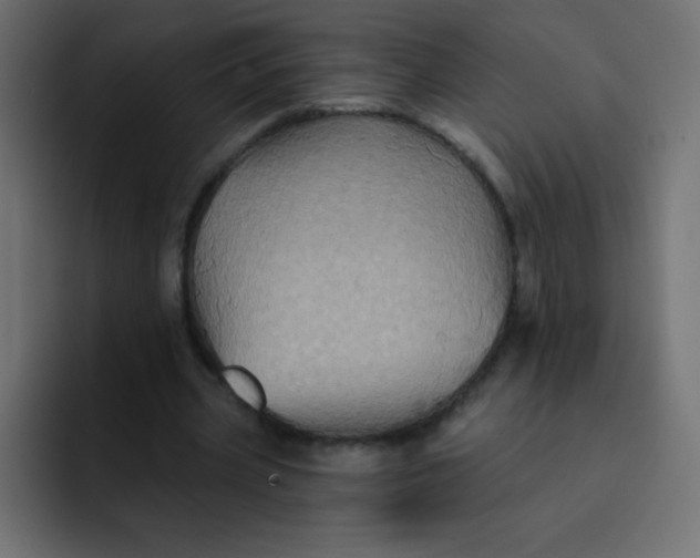 X0000092110533200710031232