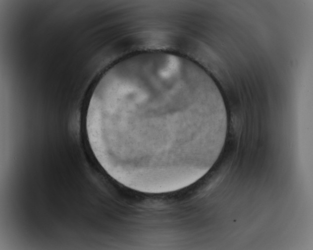 X0000092110534200710031232