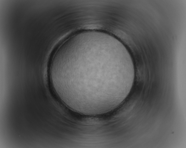 X0000092110535200710031232