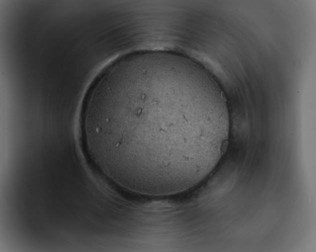 X0000092110536200710031232