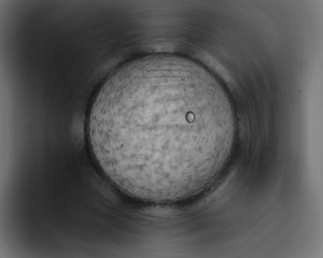 X0000092110537200710031232