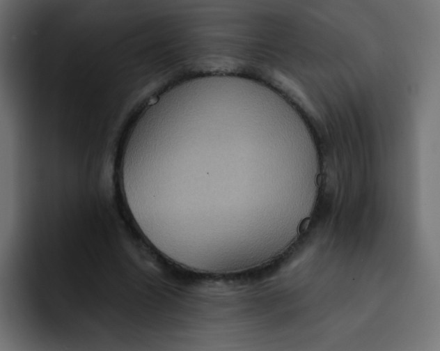 X0000092110538200710031232