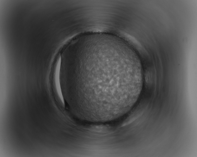 X0000092110540200710031232