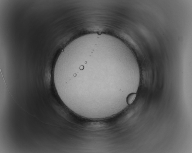 X0000092110541200710031232