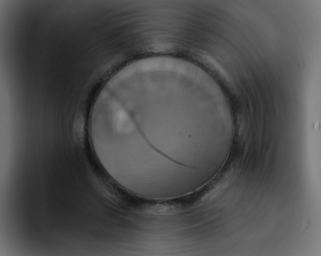 X0000092110542200710031232