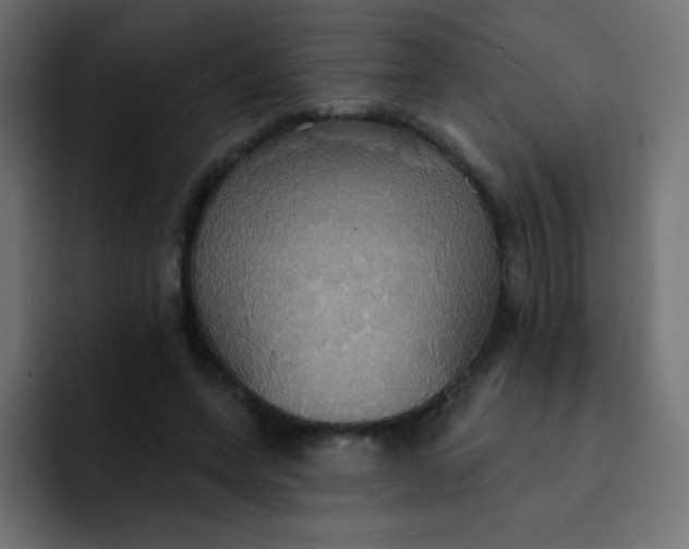 X0000092110543200710031232