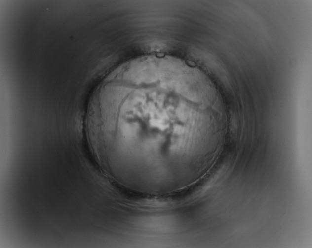 X0000092110545200710031232