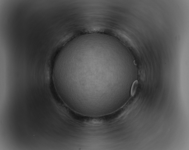 X0000092110546200710031232