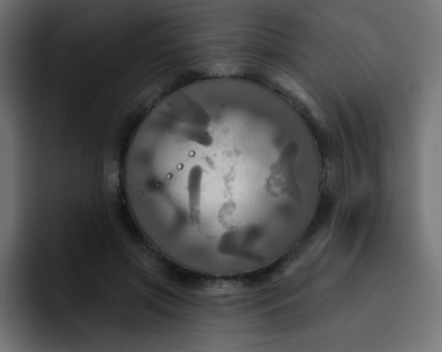 X0000092110549200710031232