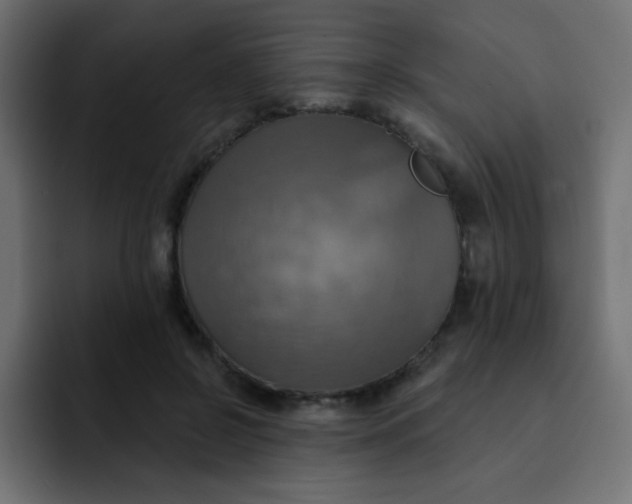 X0000092110550200710031232