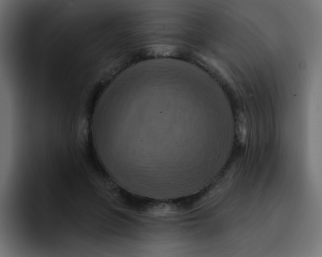 X0000092110551200710031232