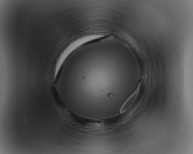 X0000092110552200710031232