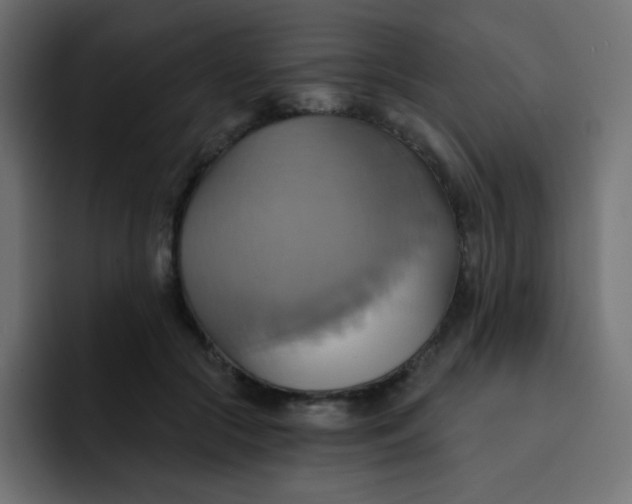 X0000092110553200710031232