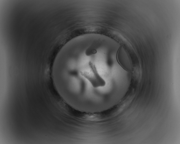 X0000092110557200710031232