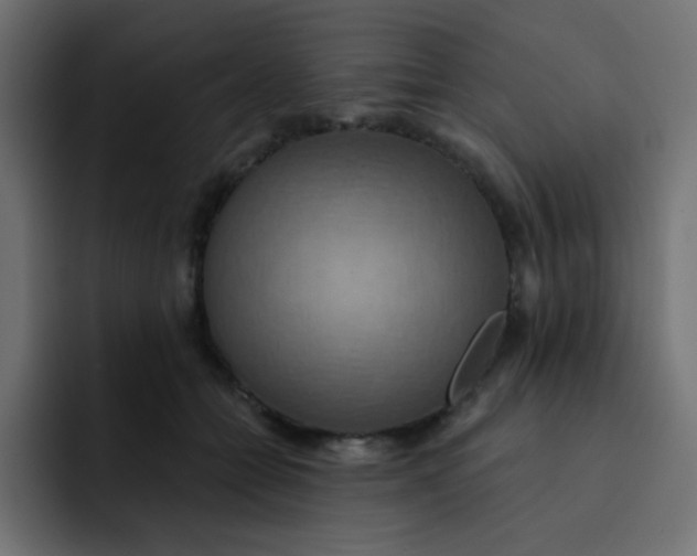 X0000092110558200710031232