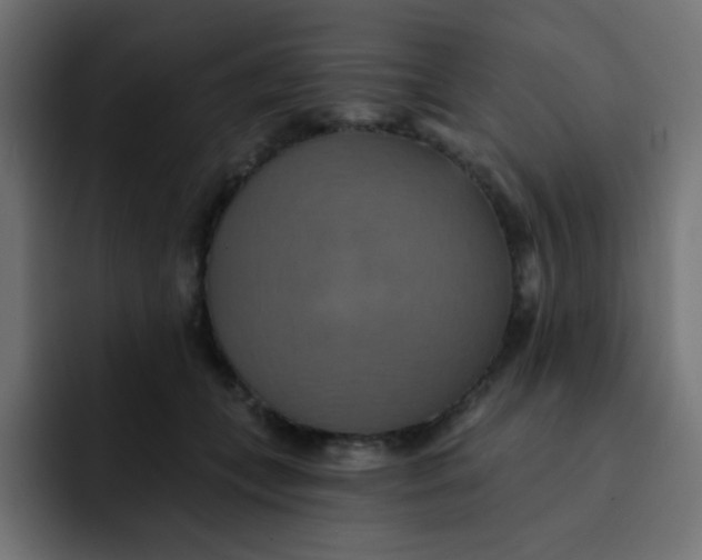 X0000092110559200710031232