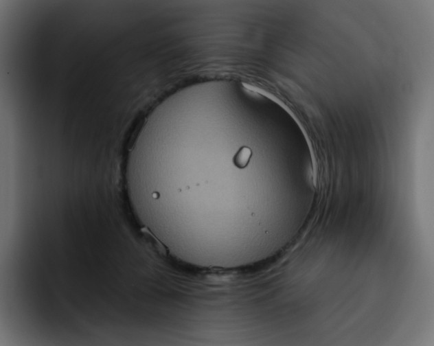 X0000092110560200710031232