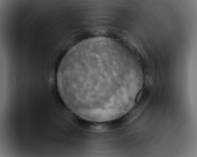 X0000092110561200710031232