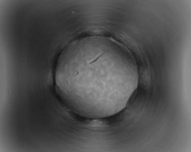 X0000092110562200710031232