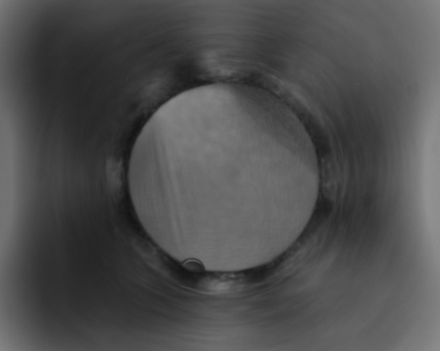 X0000092110563200710031232