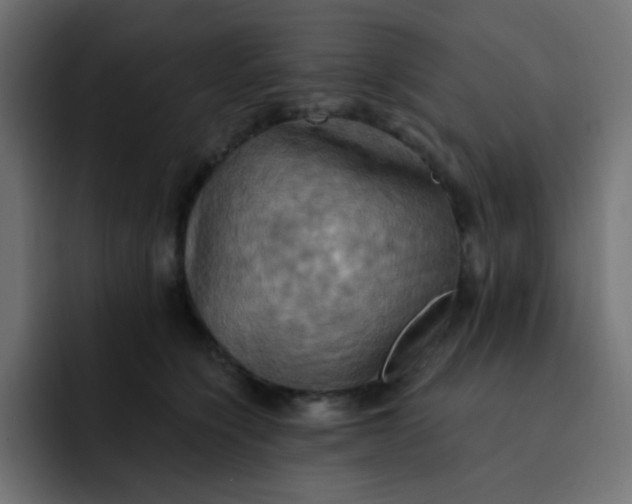 X0000092110564200710031233