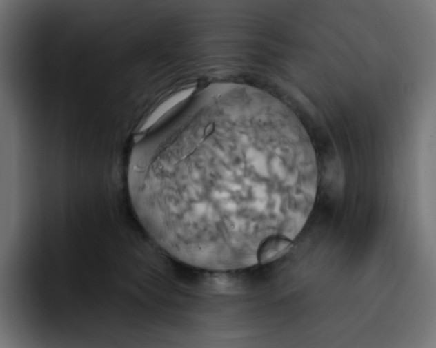 X0000092110565200710031233