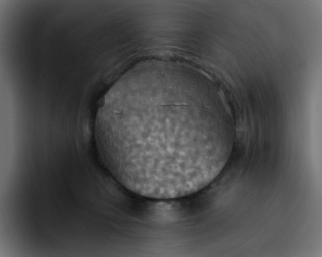 X0000092110566200710031233