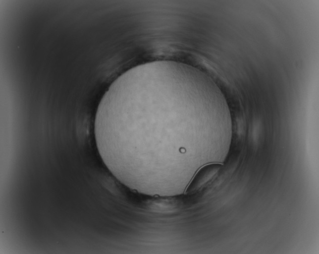 X0000092110567200710031233