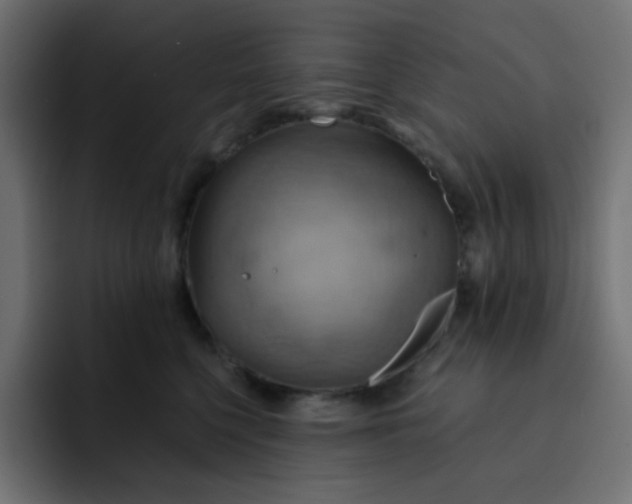 X0000092110568200710031233