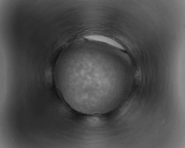 X0000092110572200710031233