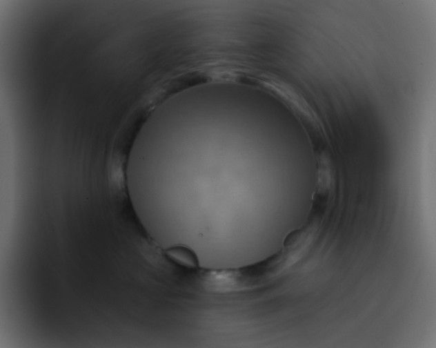 X0000092110573200710031233