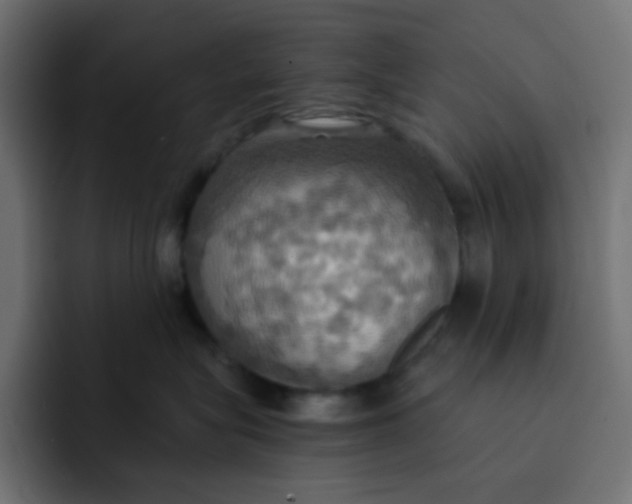 X0000092110575200710031233