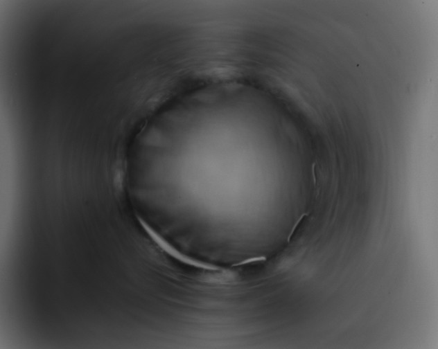 X0000092110576200710031233