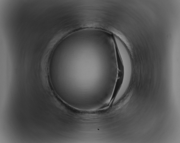 X0000092110577200710031232