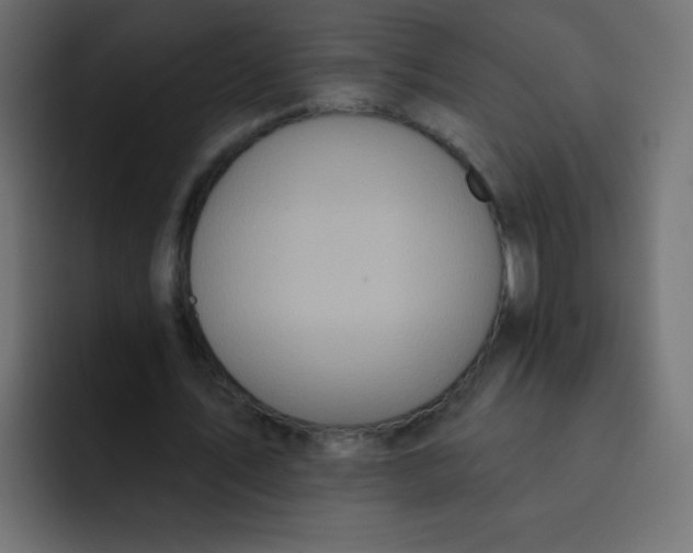 X0000092110579200710031232