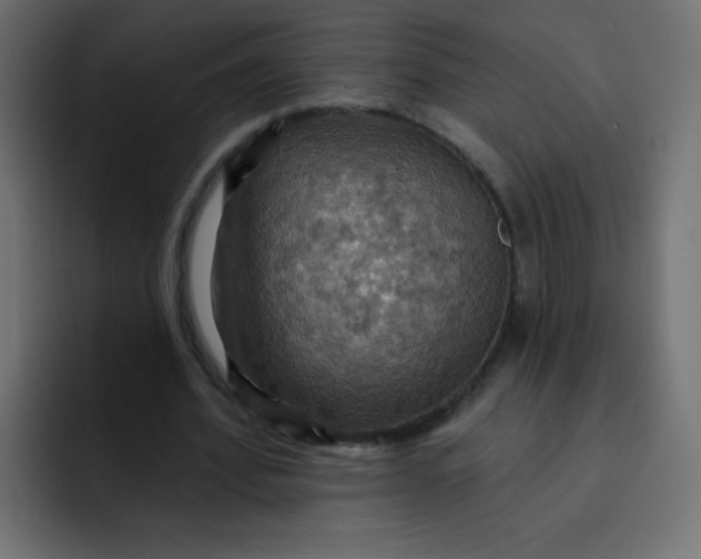 X0000092110580200710031232