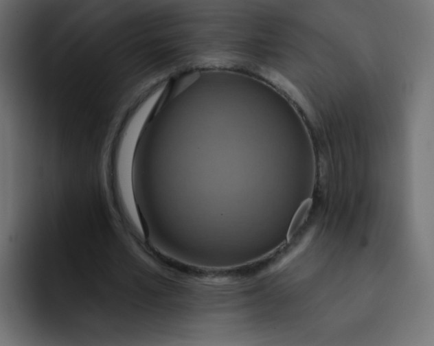 X0000092110581200710031232