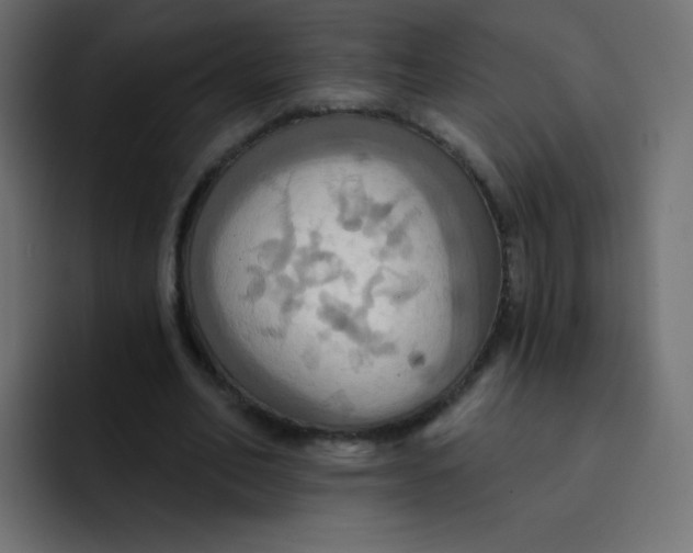 X0000092110582200710031232