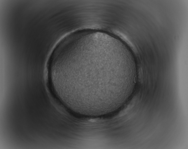 X0000092110584200710031232