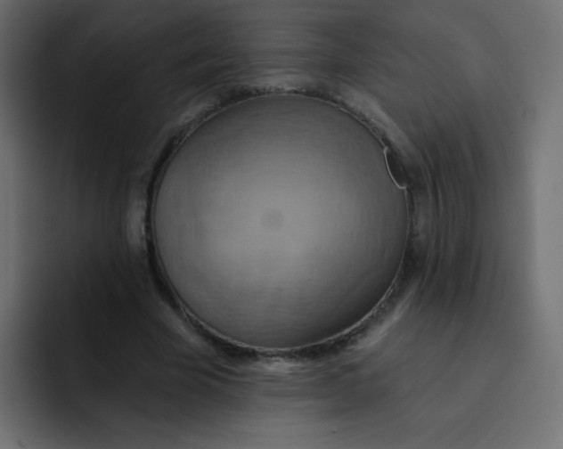 X0000092110585200710031232