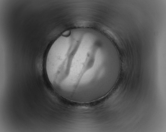 X0000092110586200710031232