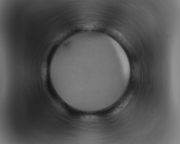 X0000092110590200710031232