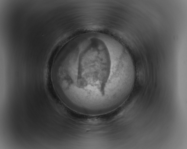 X0000092110591200710031232