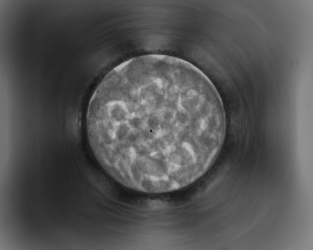 X0000092110592200710031232