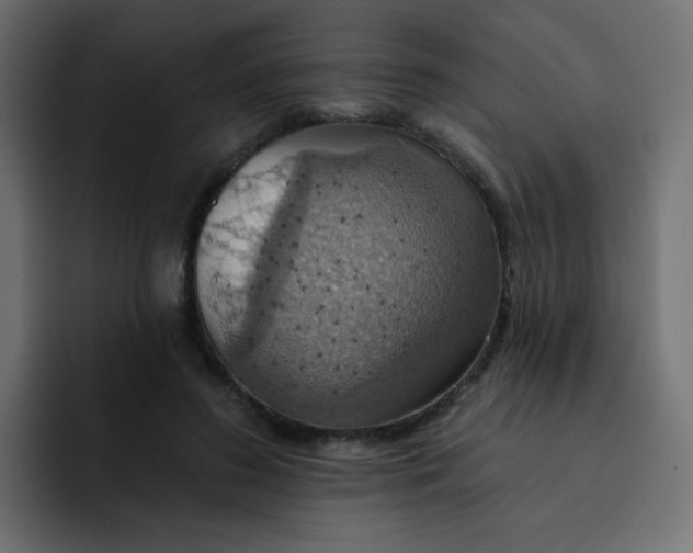 X0000092110596200710031232