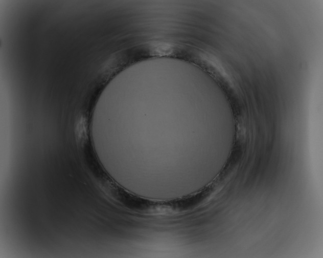 X0000092110598200710031232