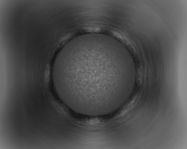 X0000092110600200710031232