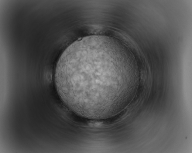 X0000092110602200710031232