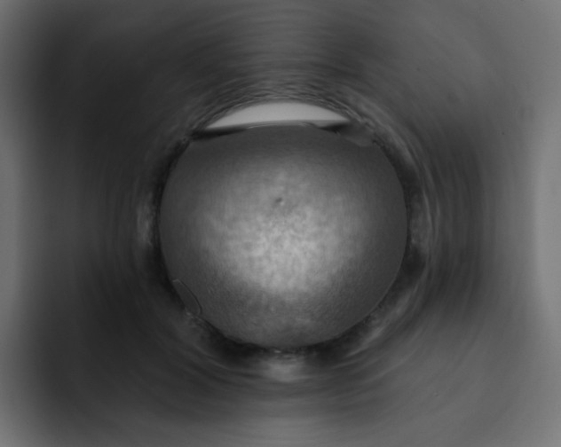 X0000092110604200710031232